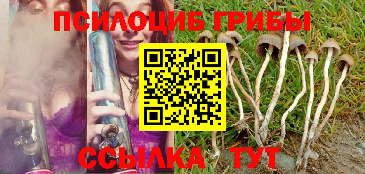 Новотроицк  Псилоцибиновые грибы Psilocybe  Вход с VPN 